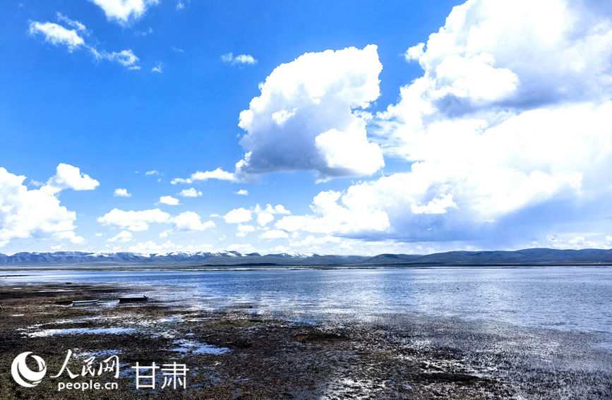 藍天白云下的濕地畫卷。人民網記者 周婉婷攝