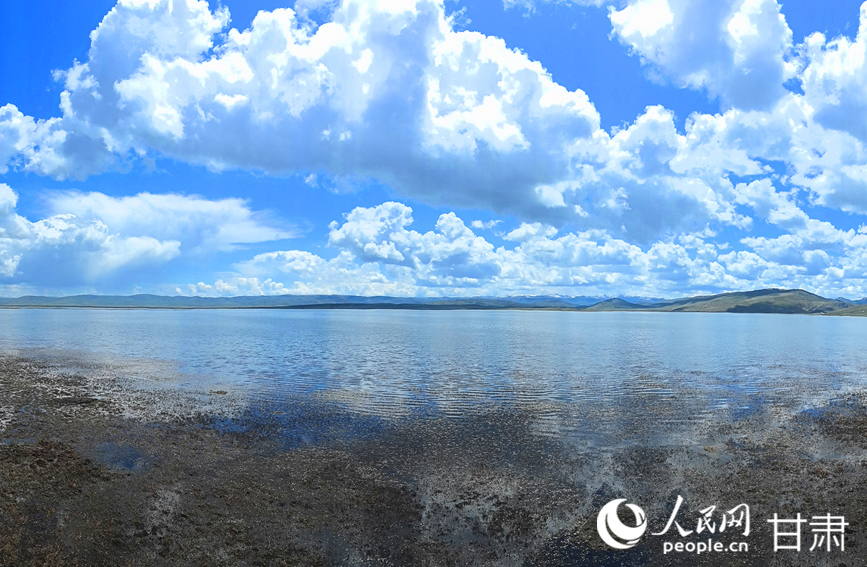藍天白云下的濕地畫卷。人民網記者 周婉婷攝
