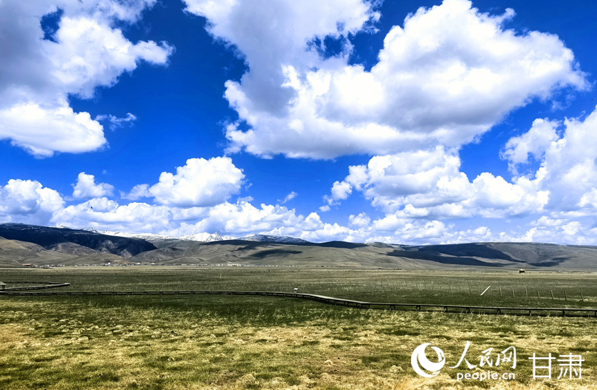 藍天白云下的濕地畫卷。人民網記者 周婉婷攝
