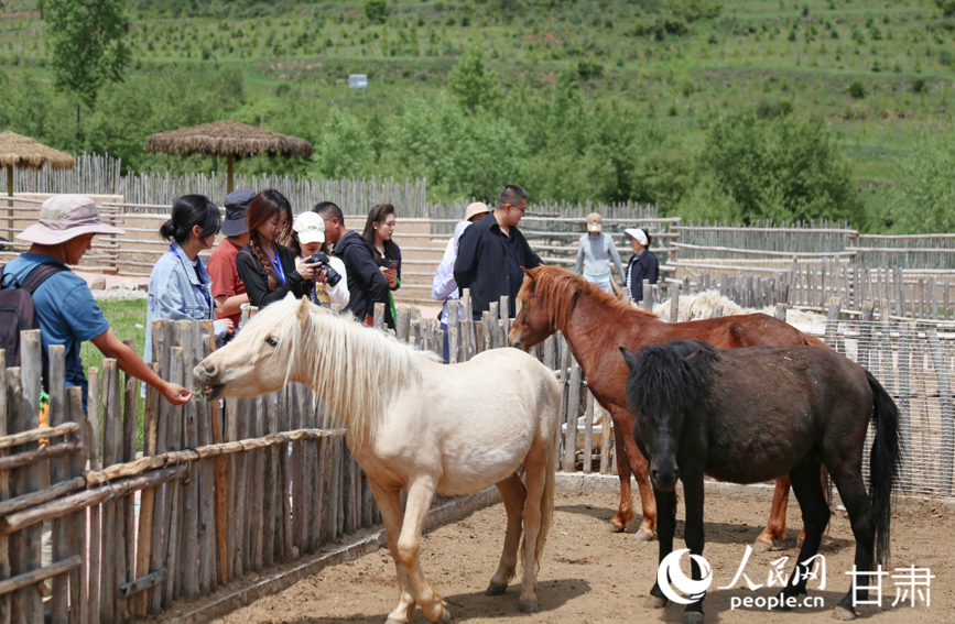 元古堆村萌寵樂園吸引游客打卡游玩。人民網記者 高翔攝