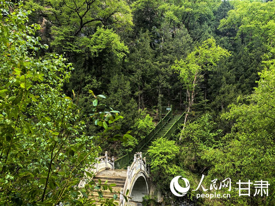 大峪溝景區內的觀景棧道。人民網記者 周婉婷攝