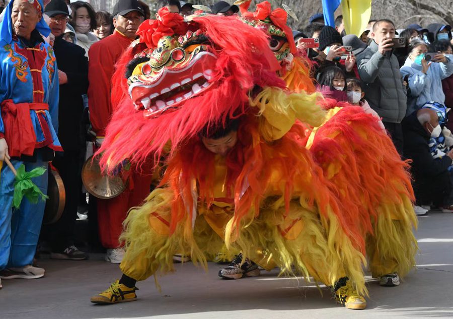 蘭州北獅表演現場。受訪者供圖