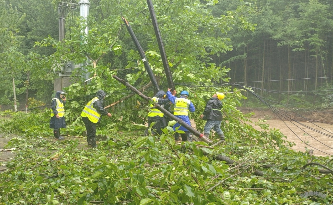 電信工作人員清理受損桿路。周穆塵攝