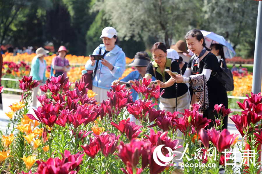 甘肅蘭州：百合花海扮靚黃河之濱【6】