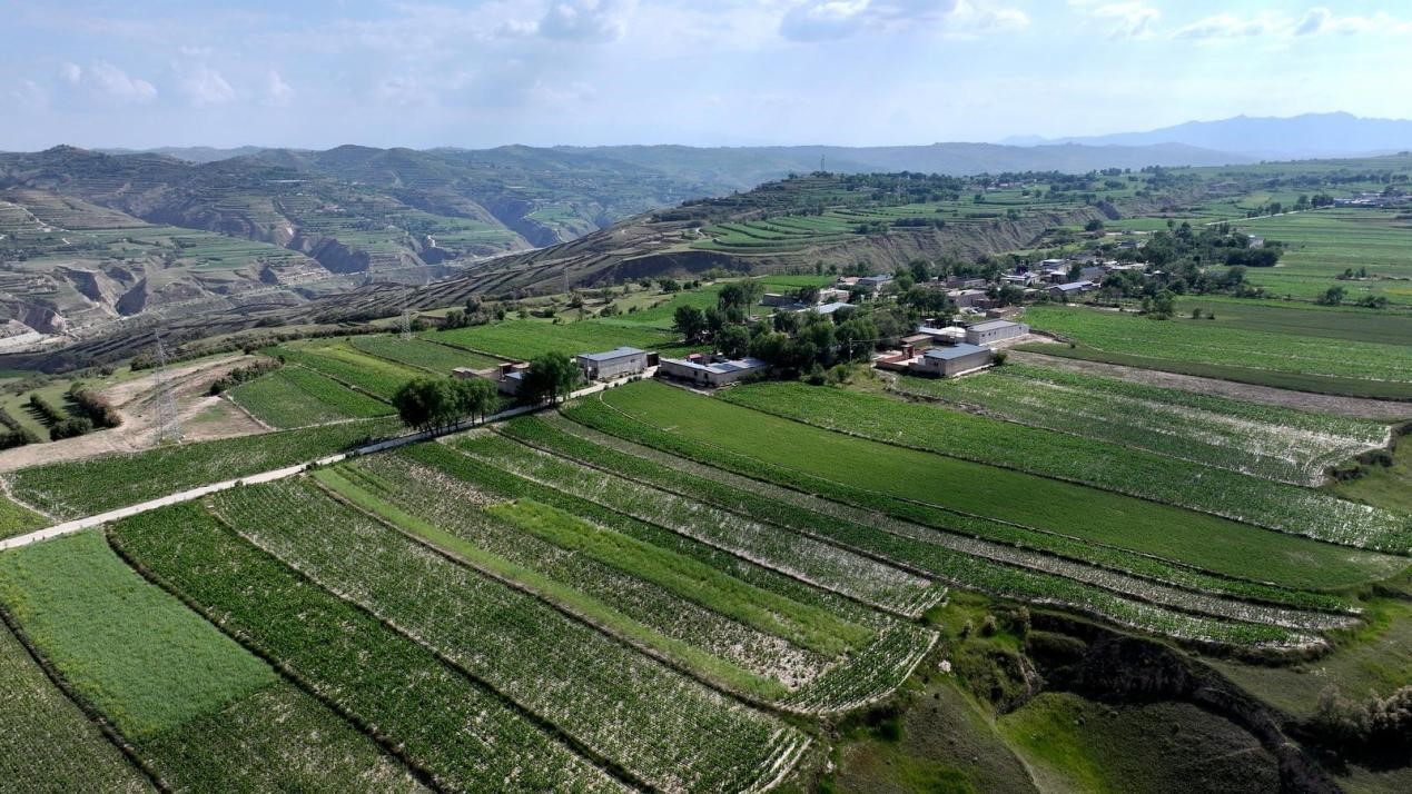 永靖縣委宣傳部供圖