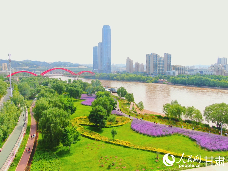 甘肅蘭州：黃河邊邂逅“紫色浪漫”【5】