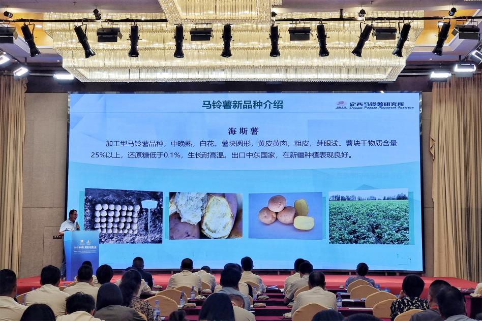 定西馬鈴薯研究所王廷輝作交流分享。人民網記者 米媛攝