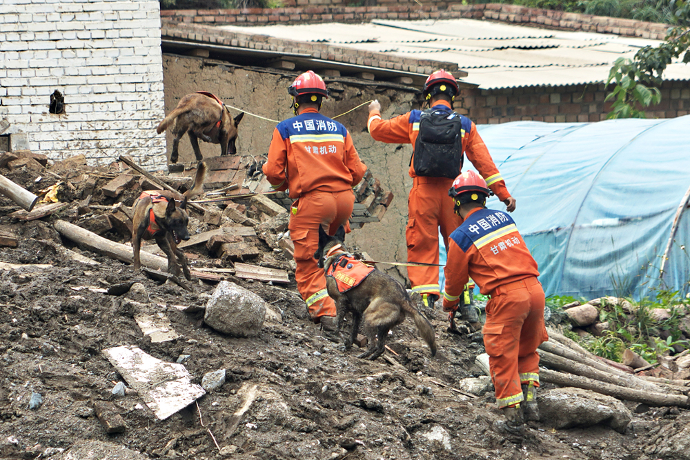 8月9日，甘肅省森林消防總隊消防員在榆中縣馬坡鄉舊莊溝村利用搜救犬全力以赴搜尋被困人員。龍智祥 攝
