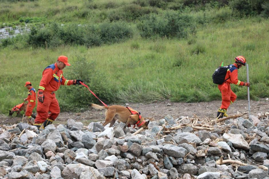 8月10日11時，消防救援人員攜帶搜救犬在榆中縣馬坡鄉馬蓮灘村，利用氣味搜集管等裝備器材分組對受災區域展開地毯式排查。甘肅消防供圖