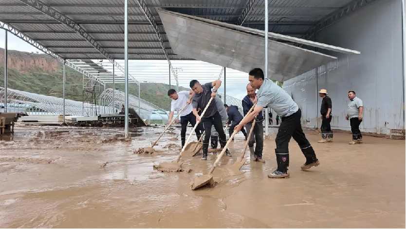 趙家鄉干部群眾清理大棚淤泥。喇海濤攝