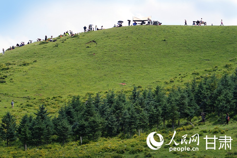 甘肅甘南：草原美景引客來【5】
