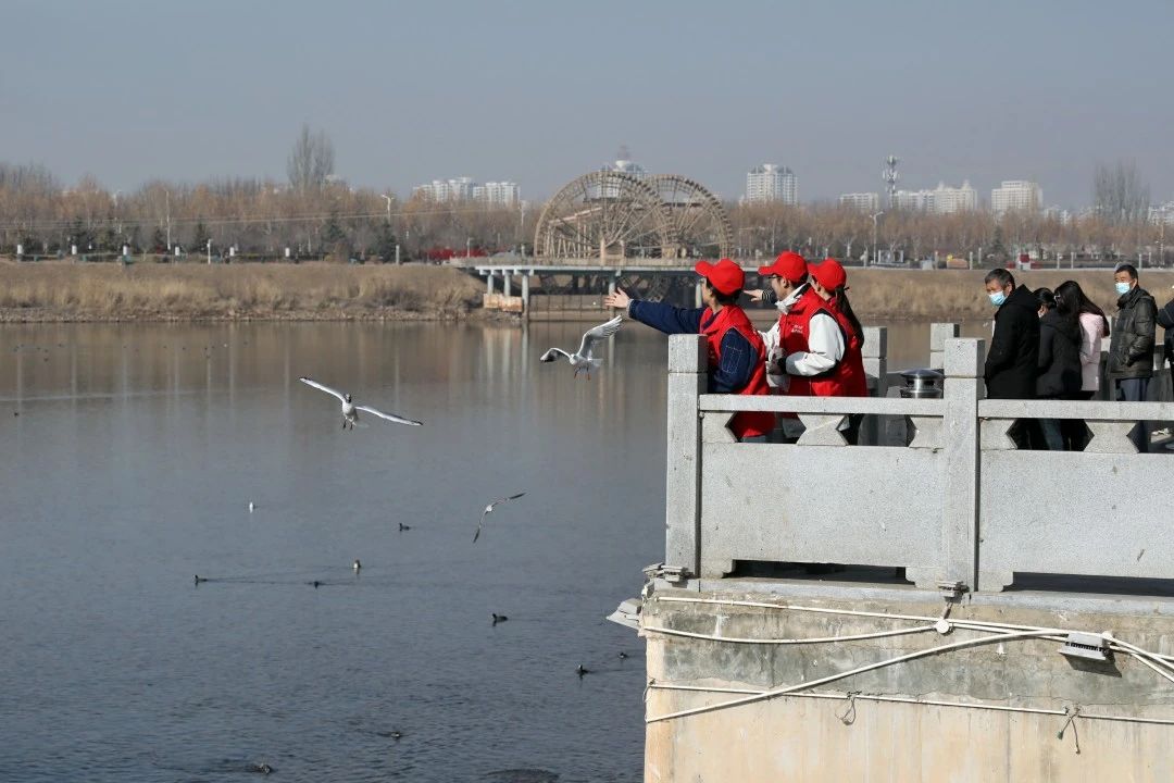 國網甘肅省電力公司供圖