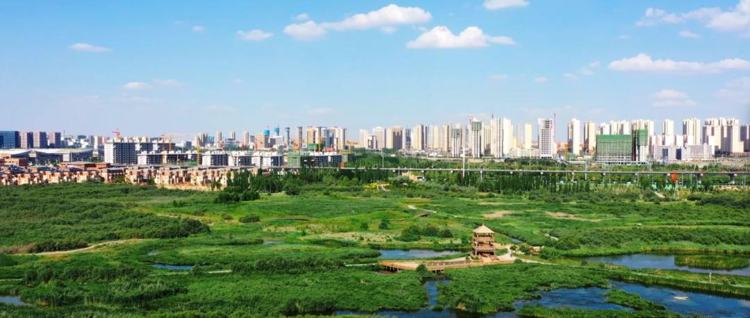 蘭州新區黨群政法和社會工作部供圖