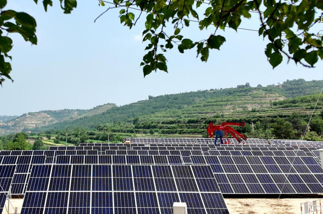 “綠”動油田。雷麗萍攝