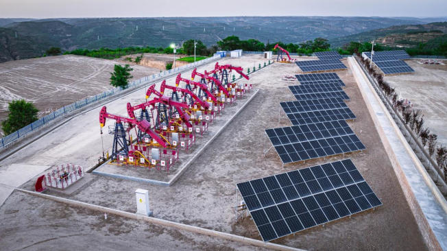 “綠”動油田。劉凱攝