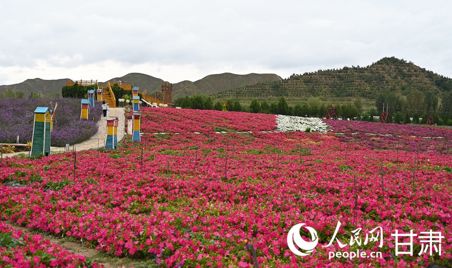 甘肅白銀：五彩花海入畫來【3】