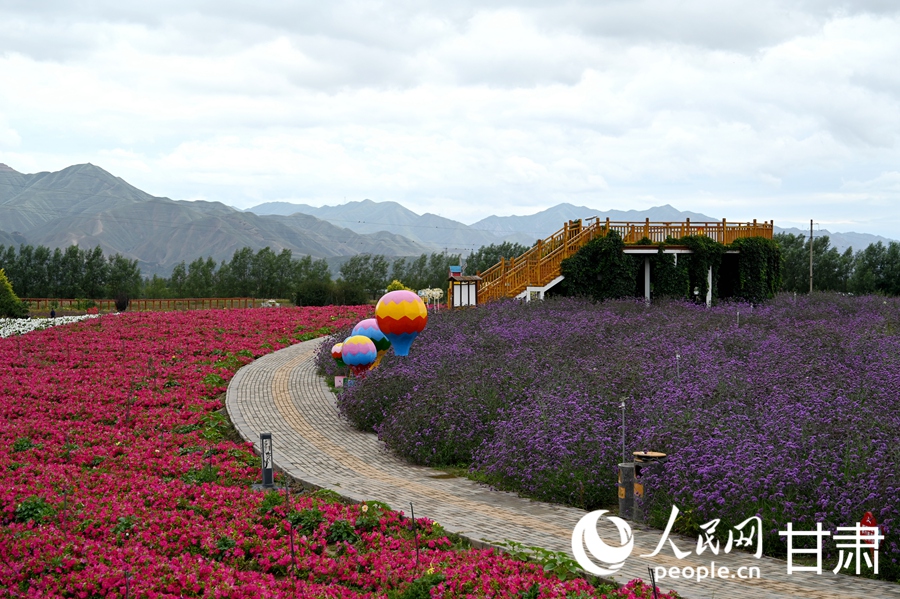 甘肅白銀：五彩花海入畫來【4】