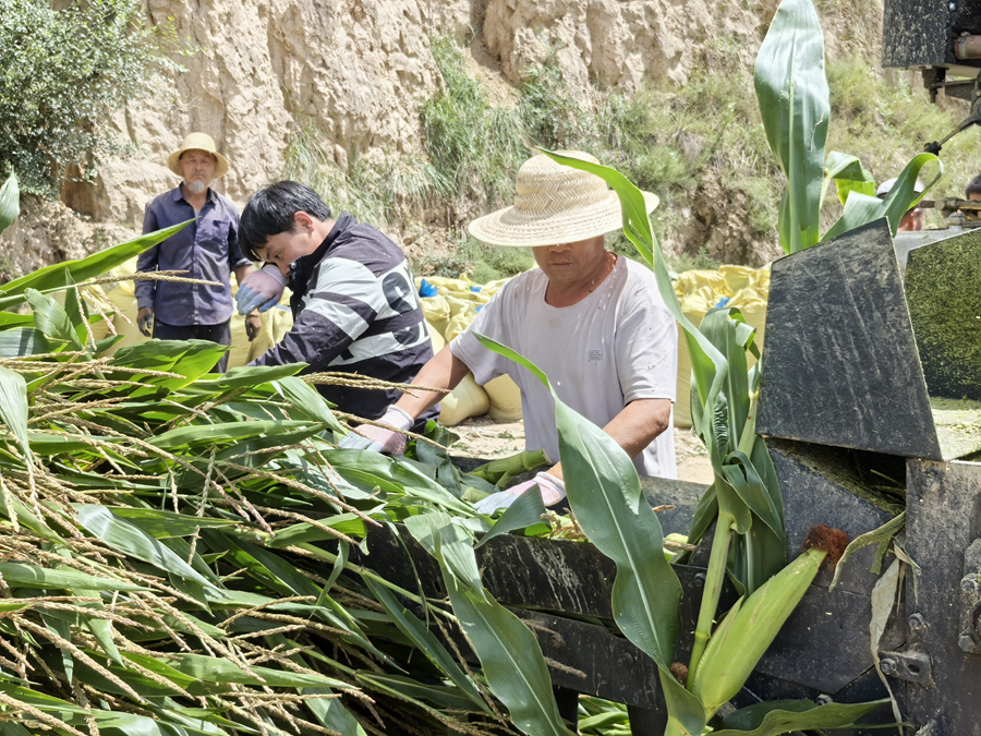 鄉縣委宣傳部供圖