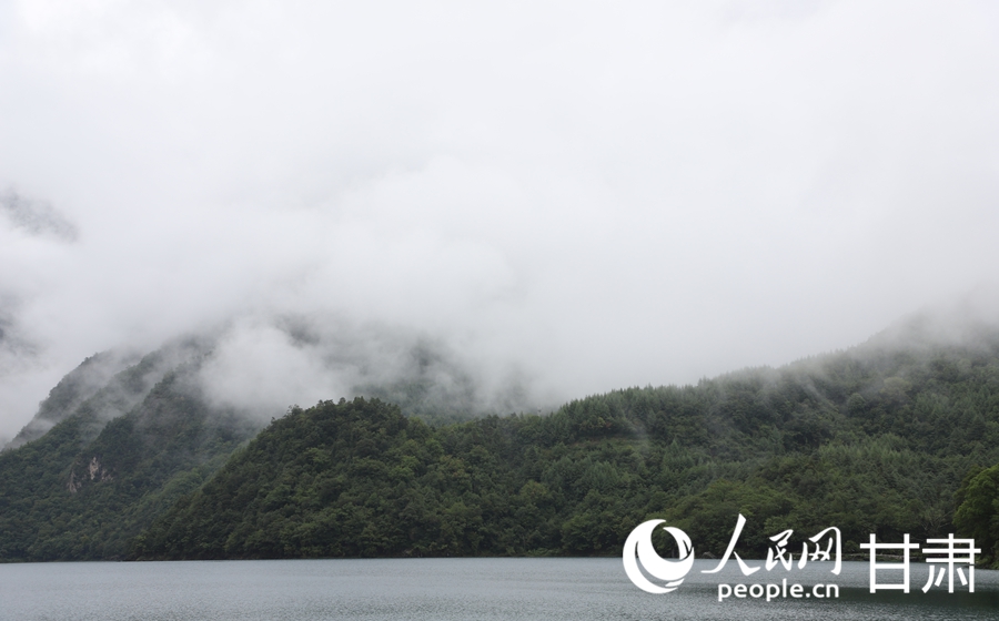 雨后的文縣天池云霧繚繞。人民網記者 邵蘭攝