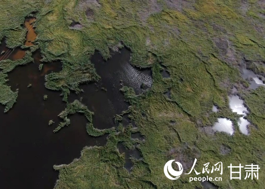 無人機俯拍青土湖。人民網記者 邵蘭攝