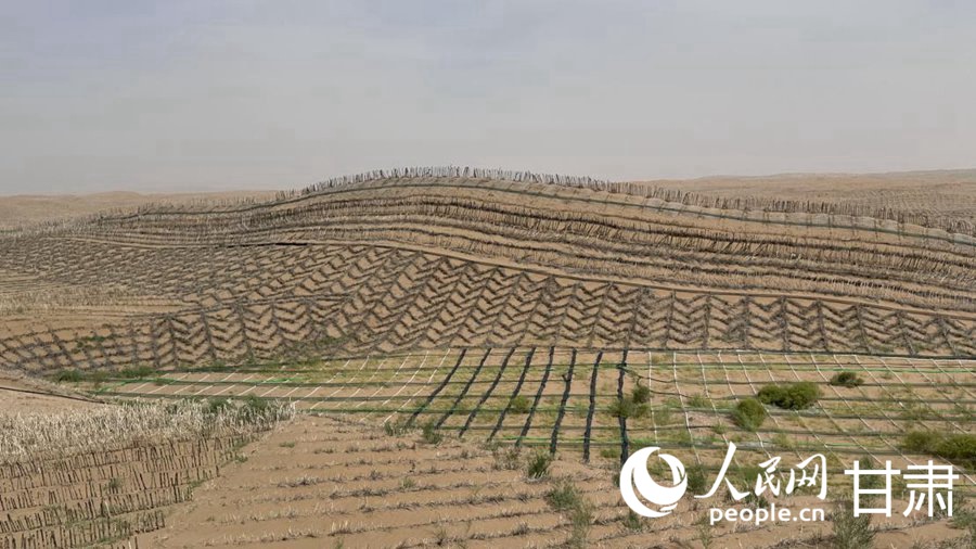 沙丘上布滿各類沙障。人民網記者 王紹紹攝