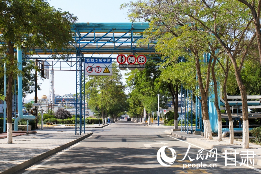 蘭州石化廠區里，綠意沿道路延伸。人民網記者 米媛攝