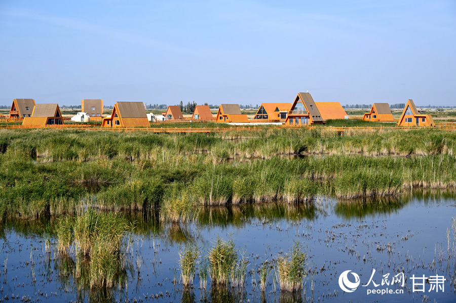 甘肅酒泉：祁連葦海蕩碧波