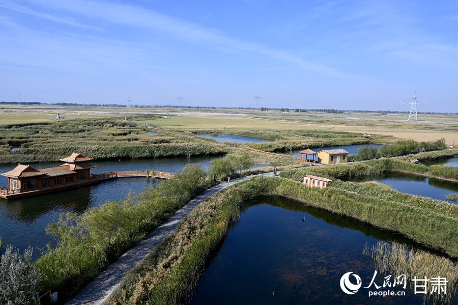 甘肅酒泉：祁連葦海蕩碧波【4】