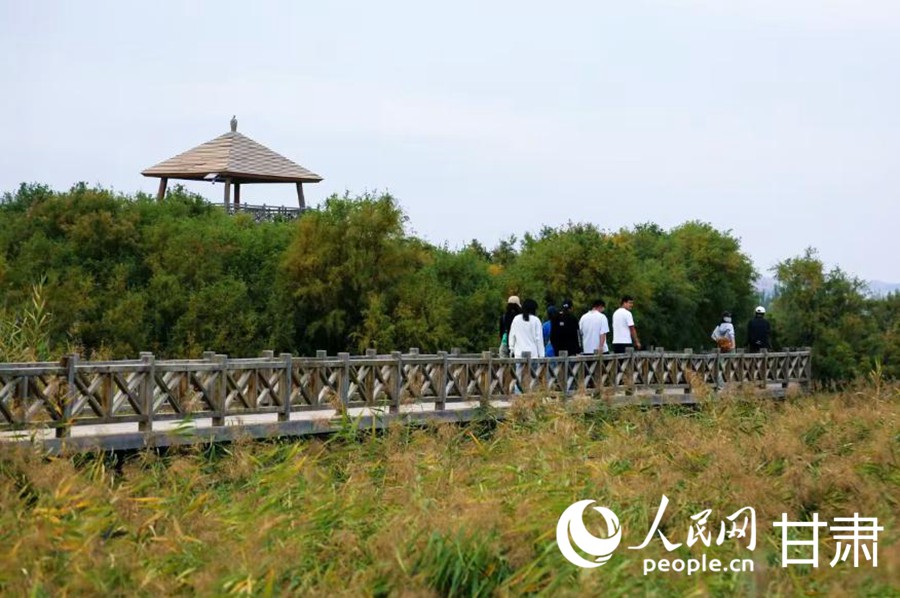 秦王川國家濕地公園。人民網記者 米媛攝