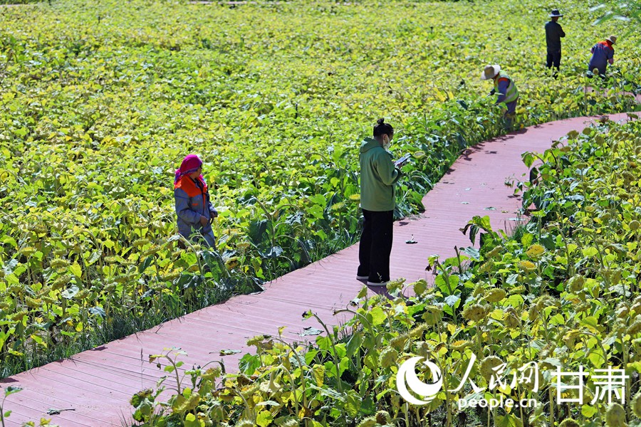 蘭州新區：青云驛里賞秋韻