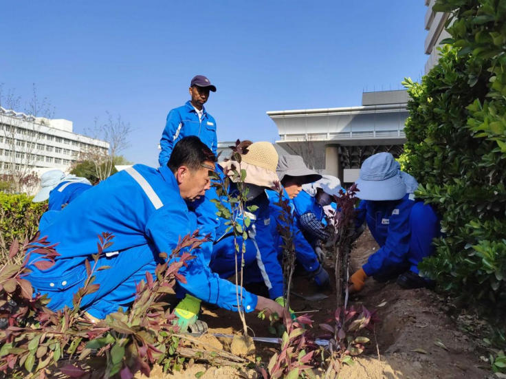 員工栽種綠植。仇瑋攝