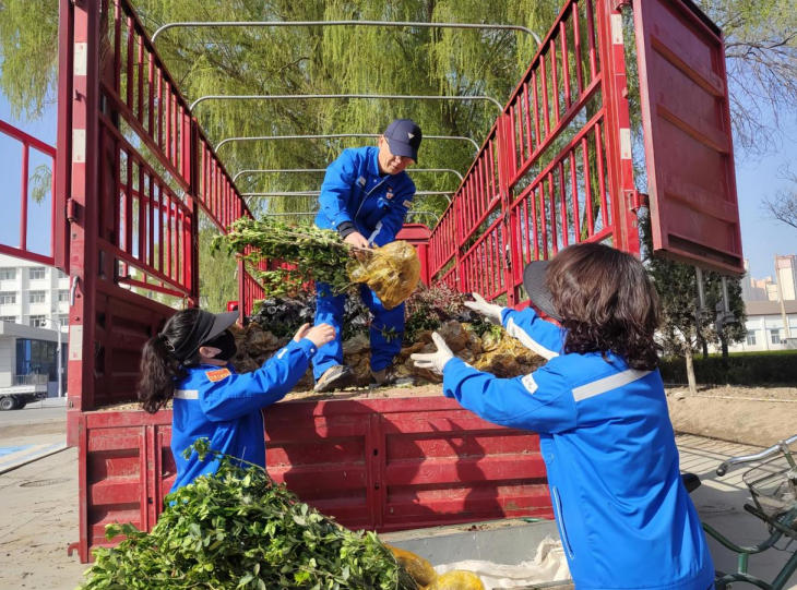 員工拉運綠植。仇瑋攝