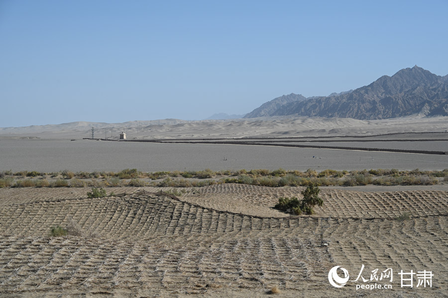 莫高窟窟頂草方格沙障。人民網 席娟娟攝