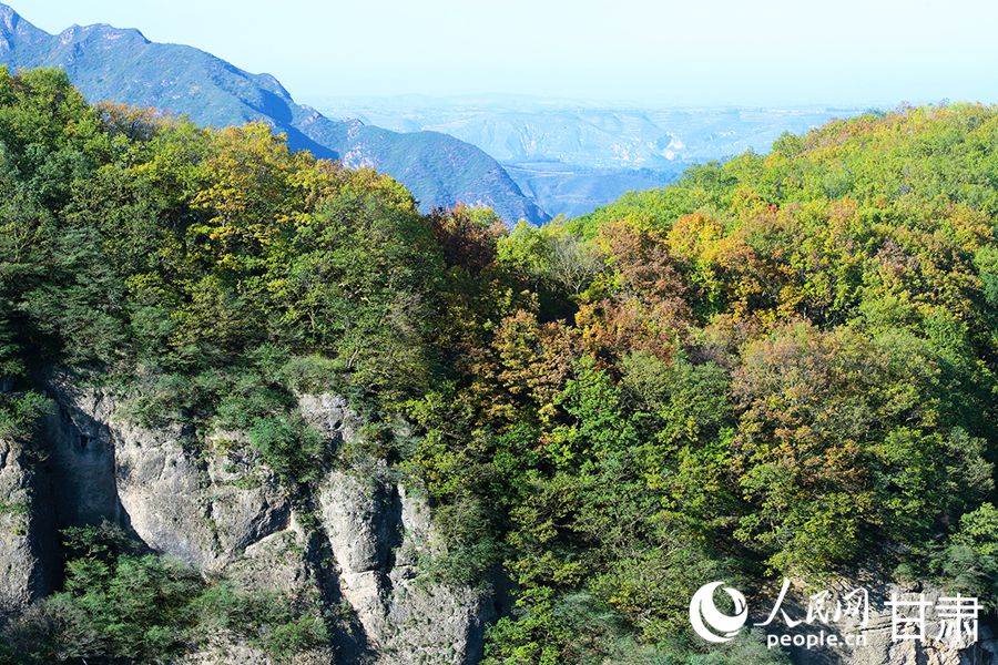 群山環抱，滿目蒼翠。人民網記者 米媛攝