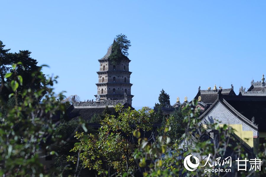 崆峒山凌空塔，松韻天成。人民網記者 米媛攝